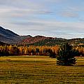 Late Fall  Early Winter